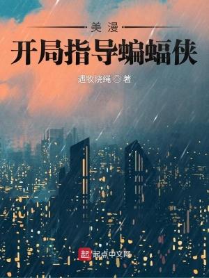 美漫开局指导蝙蝠侠book